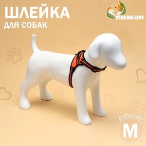 Шлейка мягкая улучшенная, светоотражающая, размер М (ОШ 39-46 см, ОГ 43-54 см), оранжевая