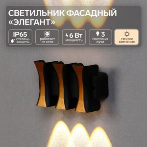 Светильник фасадный "Элегант", FSD-042, 6 Вт, 3000К, 3 луча, IP65, 220 В, пластик, черный