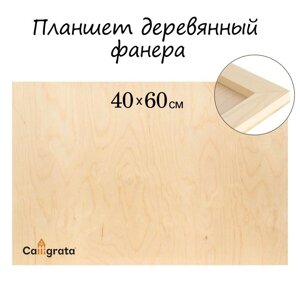 Планшет деревянный 40 х 60 х 2 см, фанера (для рисования эпоксидной смолой)