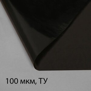 Плёнка полиэтиленовая, техническая, толщина 100 мкм, 3 10 м, рукав (1,5 м 2), чёрная, 2 сорт, Эконом 50 %