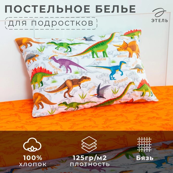 Постельное бельё "Этель" 1,5 сп Динозавры 143*215 см, 150*214 см, 50*70 см -1 шт, 100% хлопок, бязь от компании Интернет-гипермаркет «MALL24» - фото 1