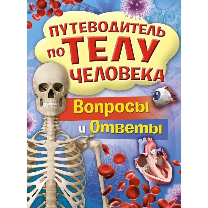 Путеводитель по телу человека. Вопросы и ответы. Канаван Т. от компании Интернет-гипермаркет «MALL24» - фото 1