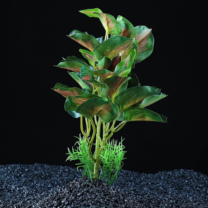 Растение аквариумное "в горшочке", 31 х 23 х 19 см от компании Интернет-гипермаркет «MALL24» - фото 1