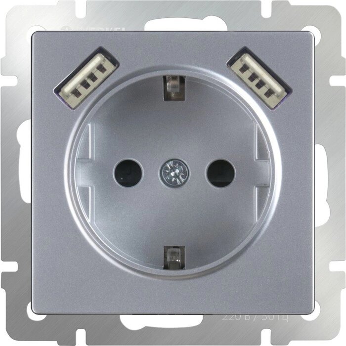 Розетка с заземлением, шторками и USBх2  WL06-SKGS-USBx2-IP20, цвет серебряный от компании Интернет-гипермаркет «MALL24» - фото 1