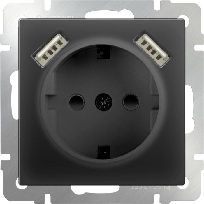Розетка с заземлением, шторками и USBх2  WL08-SKGS-USBx2-IP20, цвет черный от компании Интернет-гипермаркет «MALL24» - фото 1
