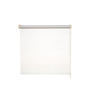 Рулонная штора Blackout, размер Basic, размер 100х160 см, цвет ваниль