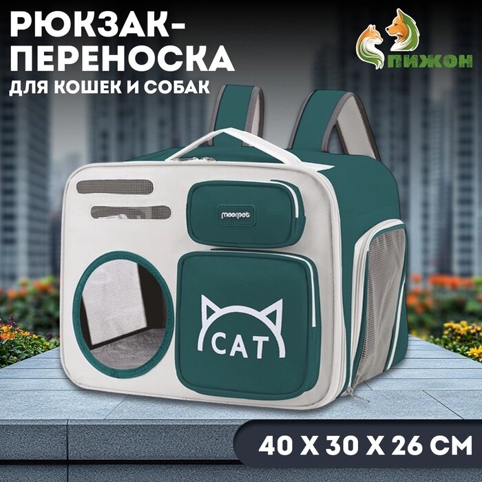 Рюкзак для переноски кошек и собак, прозрачный, 40 х 30 х 26 см, серо-зелёный от компании Интернет-гипермаркет «MALL24» - фото 1