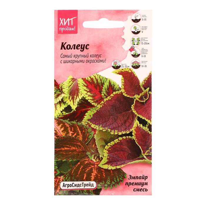 Семена цветов Колеус "Конг эмпайр премиум смесь", 10 шт от компании Интернет-гипермаркет «MALL24» - фото 1
