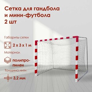 Сетка для гандбола/мини-футбола, нить 2,2 мм, ячейки 100 х 100, 2 шт., цвет белый/синий