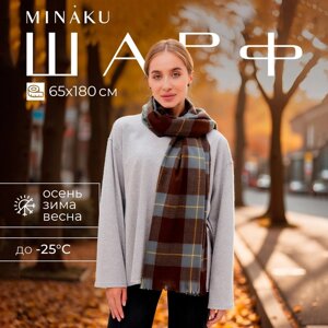 Шарф зимний с кистями MINAKU 65*180 + 3 см клетка