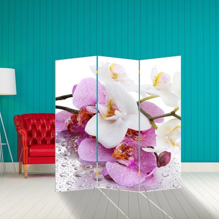 Ширма "Орхидеи. Утренняя свежесть", 160  150 см от компании Интернет-гипермаркет «MALL24» - фото 1