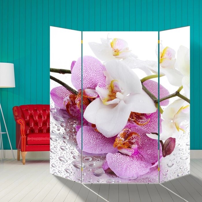 Ширма "Орхидеи. Утренняя свежесть", 160  160 см от компании Интернет-гипермаркет «MALL24» - фото 1