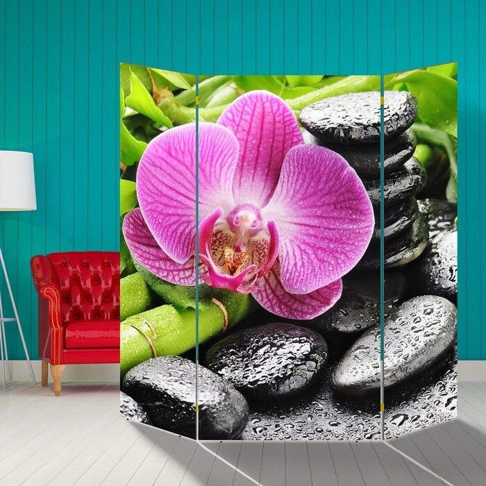 Ширма "Розовая орхидея на камнях", 160  160 см от компании Интернет-гипермаркет «MALL24» - фото 1