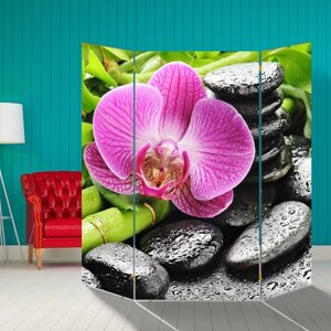Ширма "Розовая орхидея на камнях", 160 160 см