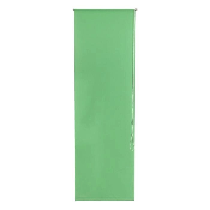 Штора рулонная 120 х175 см "Плайн", цвет светло-зелёный от компании Интернет-гипермаркет «MALL24» - фото 1