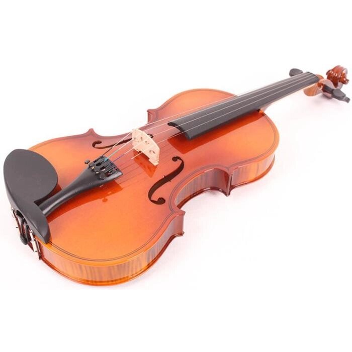 Скрипка Mirra VB-290-1/2 1/2 в футляре со смычком от компании Интернет-гипермаркет «MALL24» - фото 1