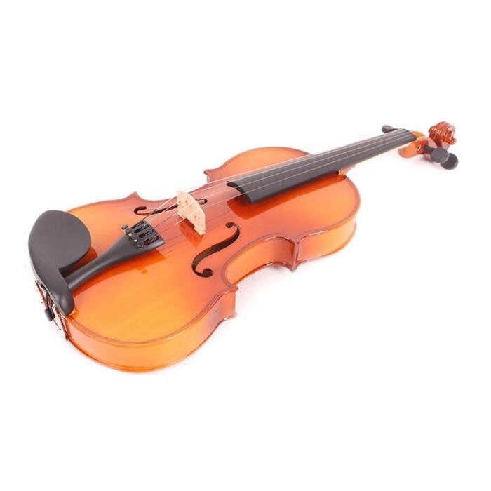 Скрипка Mirra VB-310-1/2 1/2 в футляре со смычком от компании Интернет-гипермаркет «MALL24» - фото 1