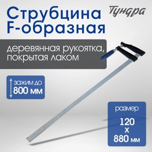 Струбцина F-образная TUNDRA, 800 х 120 х 880 мм