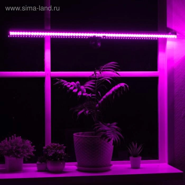 Светильник для растений, 18 Вт, 20 мкмоль/с, длина 600мм, присоска на стекло, универсальный от компании Интернет-гипермаркет «MALL24» - фото 1