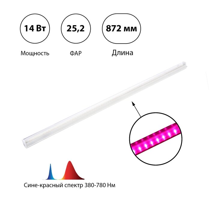 Светильник для растений линейный, 14 Вт, L872мм, красно-синий от компании Интернет-гипермаркет «MALL24» - фото 1