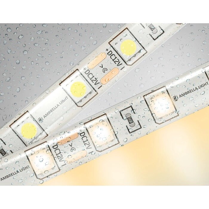 Светодиодная лента Ambrella GS2101, 5 м, IP65, 5050, 60 LED/м, 14,4 Вт/м, 12V, свечение тёплое белое от компании Интернет-гипермаркет «MALL24» - фото 1