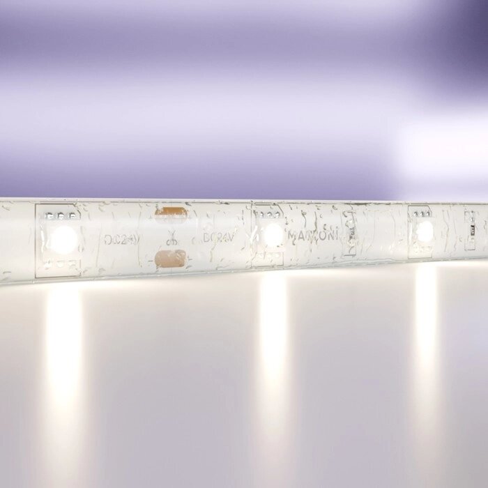 Светодиодная лента Maytoni Led Strip 10164, 24В, 5 м, IP65, 5050, 7,2 Вт/м, 10х2,3, 4000К, монохром от компании Интернет-гипермаркет «MALL24» - фото 1