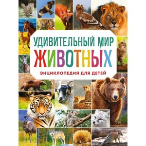 Удивительный мир животных. Энциклопедия для детей. Баранова Н. Н.