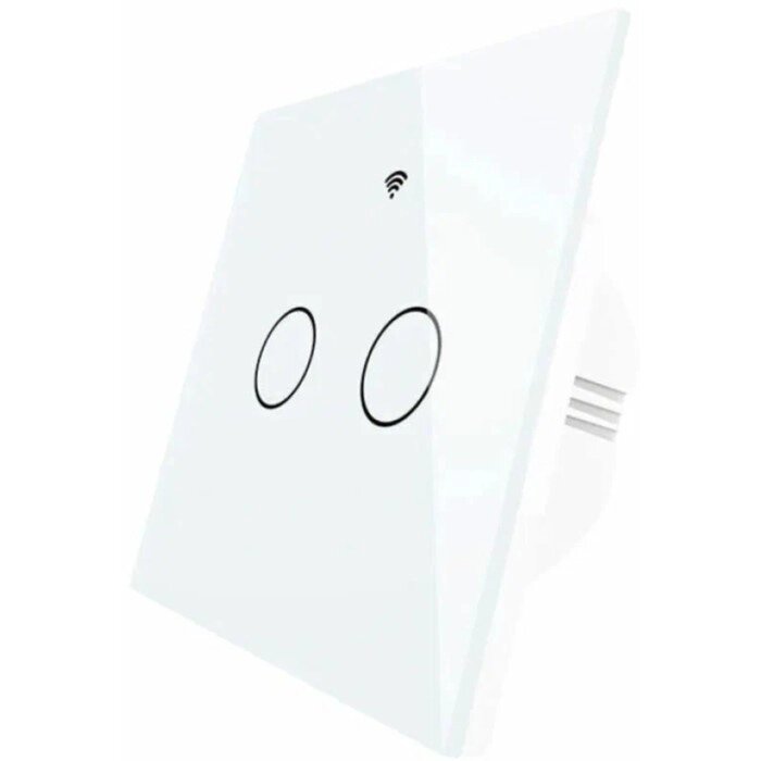 Выключатель MOES Gang Smart Switch Sensor ZS-EU2, Zigbee, 2 кнопки, таймер, расписание от компании Интернет-гипермаркет «MALL24» - фото 1