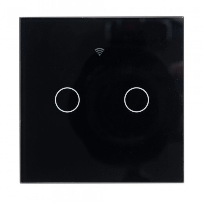 Выключатель Sibling Powerlite-WS2B, беспроводной, сенсорный, 2 клавиши, цвет чёрный от компании Интернет-гипермаркет «MALL24» - фото 1