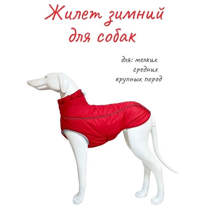 Жилет Osso "Аляска" для собак, размер 28 (ДС 25-28, ОШ 30, ОГ 40-48), красный от компании Интернет-гипермаркет «MALL24» - фото 1