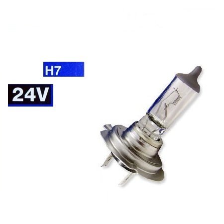 Лампа 24V H7 70W PX26d от компании ИП Скрипкин Антон Викторович - фото 1