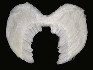 Карнавальные крылья ангела ( чёрные и белые)