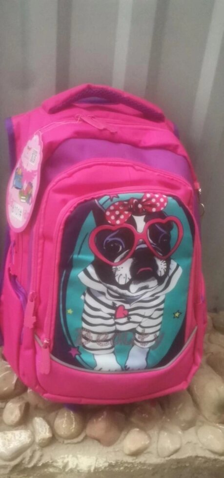 Рюкзак школьный ортопедический для девочки собачка Winner от компании Интернет магазин детских игрушек Ny-pogodi. by - фото 1