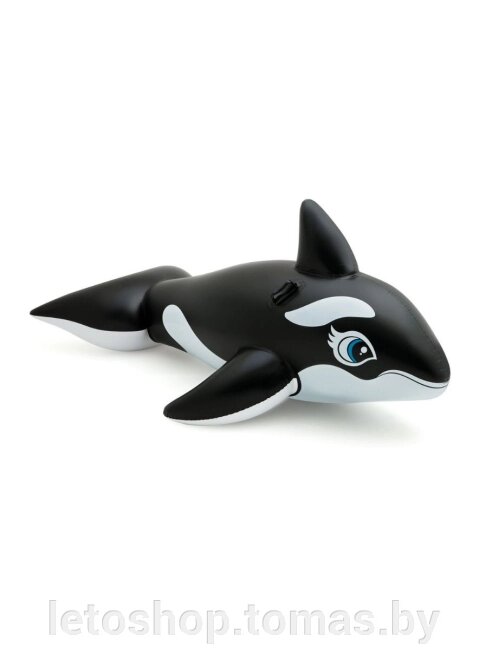 Детская надувная игрушка для плавания Intex 58561 Касатка от компании Интернет-магазин «Letoshop. by» - фото 1