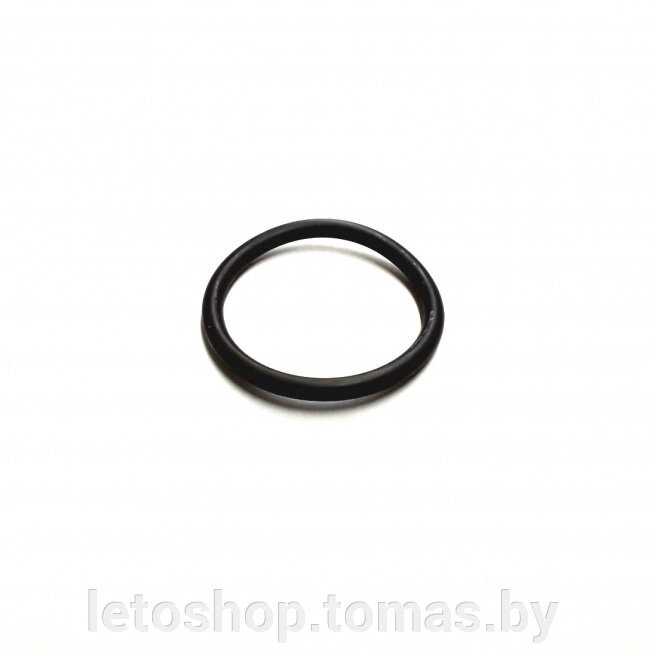 Уплотнительное кольцо Intex 10134 от компании Интернет-магазин «Letoshop. by» - фото 1