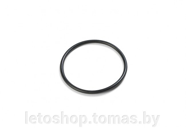 Уплотнительное кольцо Intex 10262 от компании Интернет-магазин «Letoshop. by» - фото 1