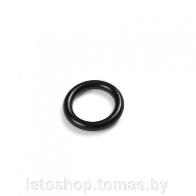 Уплотнительное кольцо Intex 10264 от компании Интернет-магазин «Letoshop. by» - фото 1