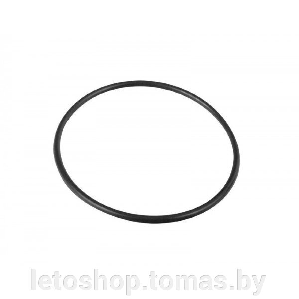 Уплотнительное кольцо Intex 10325 от компании Интернет-магазин «Letoshop. by» - фото 1