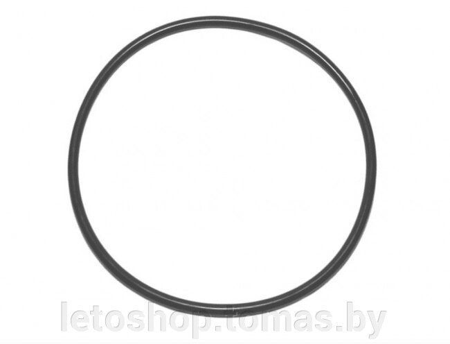 Уплотнительное кольцо Intex 10492 от компании Интернет-магазин «Letoshop. by» - фото 1