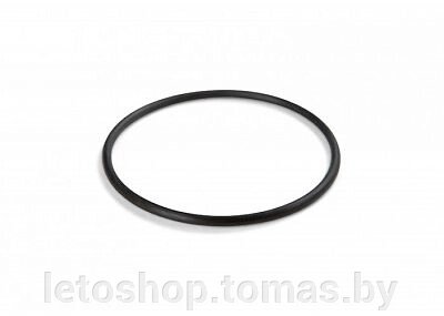 Уплотнительное кольцо Intex 11232 от компании Интернет-магазин «Letoshop. by» - фото 1
