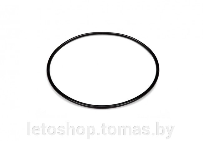 Уплотнительное кольцо Intex 11379 для песочных насос-фильтров от компании Интернет-магазин «Letoshop. by» - фото 1