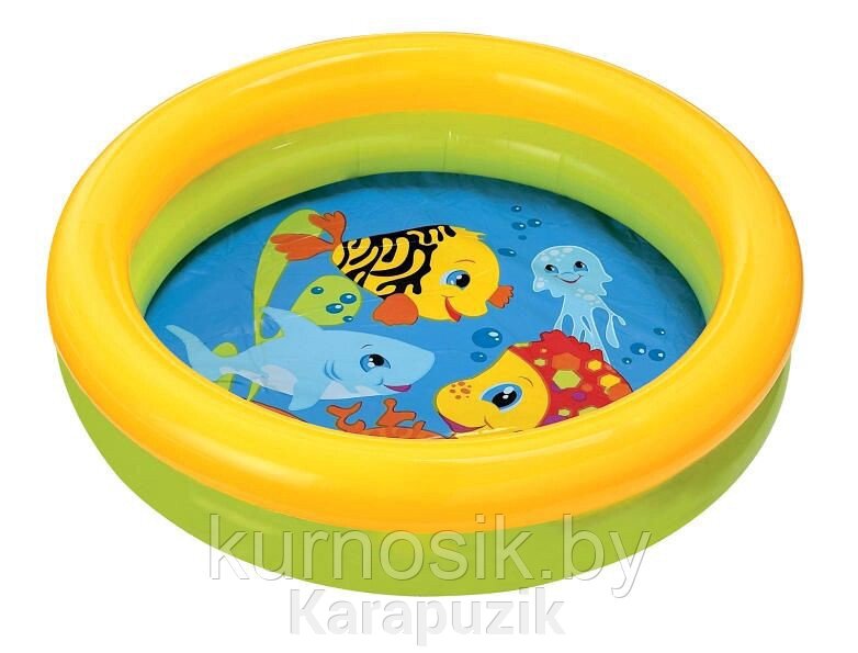 Детский надувной бассейн Intex 61х15 см (59409NP) от компании Karapuzik - фото 1