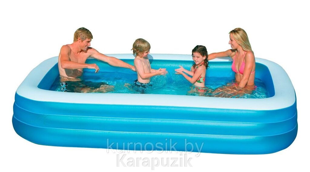 Детский надувной бассейн Intex Холодное сердце 305x183x56 см 58484NP от компании Karapuzik - фото 1