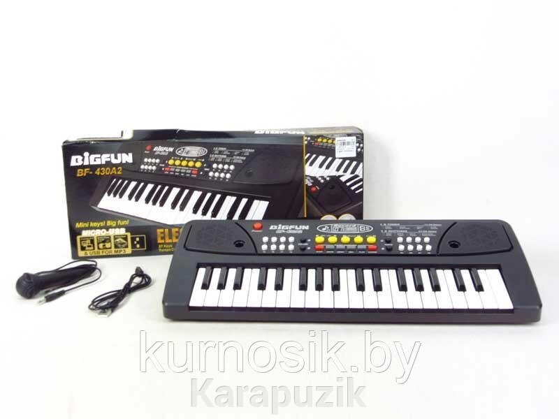Детский синтезатор с микрофоном, с USB и MP3, от сети 37 клавиш Bigfun BF-430A2 от компании Karapuzik - фото 1
