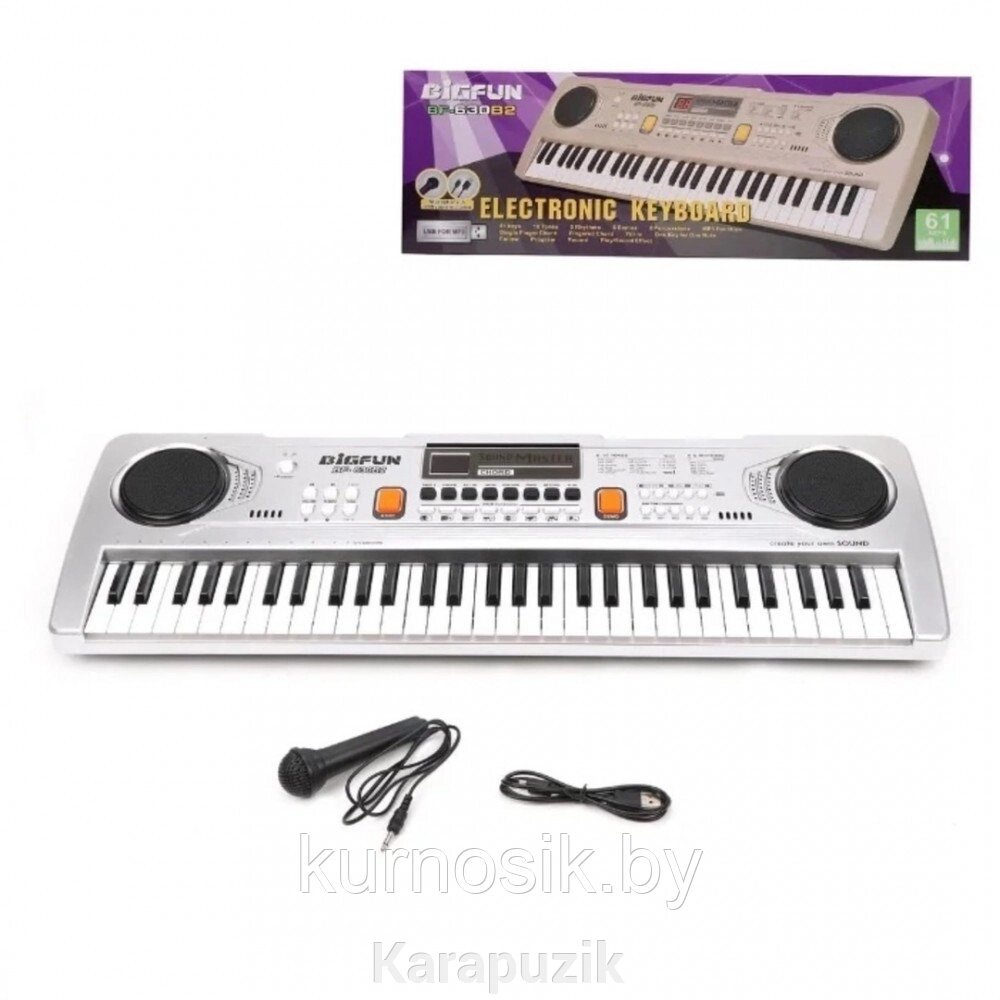 Детский синтезатор с микрофоном, с USB и MP3, от сети 49 клавиш Bigfun BF-530B2 от компании Karapuzik - фото 1