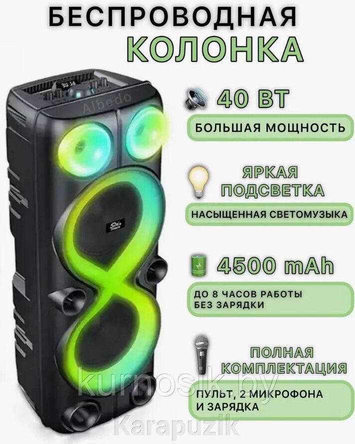 Колонка музыкальная портативная блютуз Sing-E BT Speaker 8238 беспроводная с двумя микрофонами от компании Karapuzik - фото 1