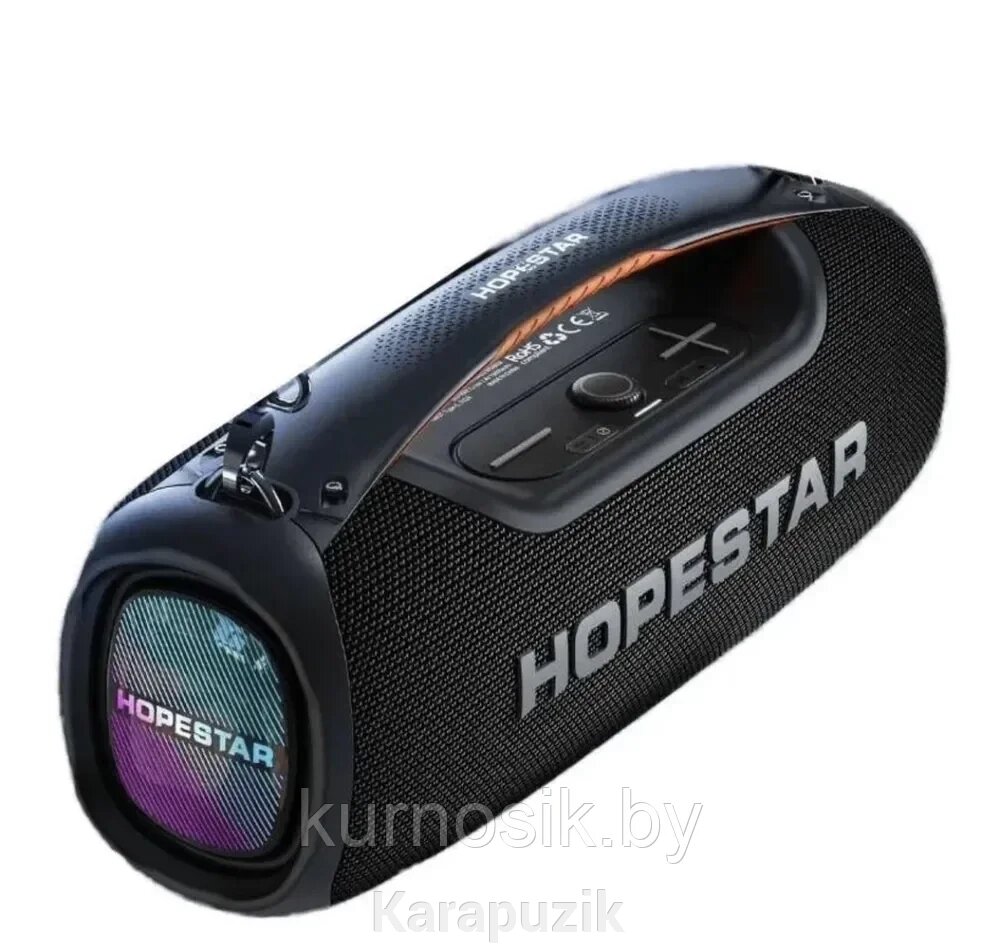 Колонка портативная музыкальная Bluetooth HOPESTAR A60 с микрофоном от компании Karapuzik - фото 1