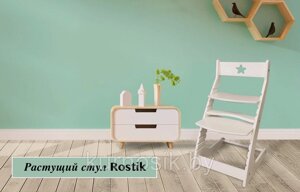 Растущий регулируемый школьный стул Ростик Rostik Белый СП1 в Минске от компании Karapuzik