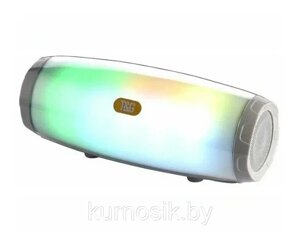 Беспроводная портативная Bluetooth колонка T&G TG-165С с подсветкой, 2 динамика, FM радио, micro SD Серый