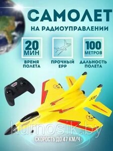 Самолет на радиоуправлении с пультом